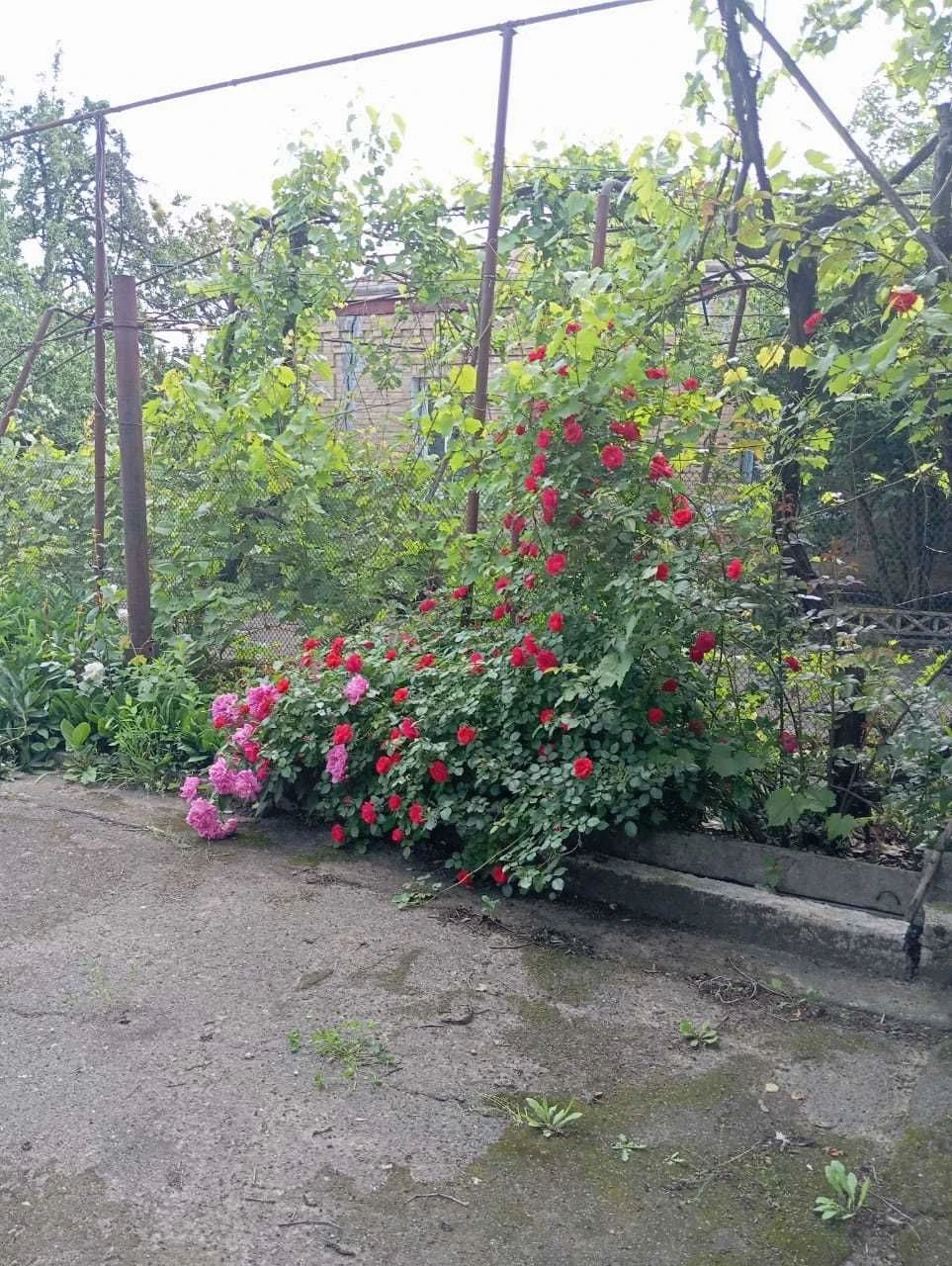 Приватний будинок в центрі м. Бобринець.