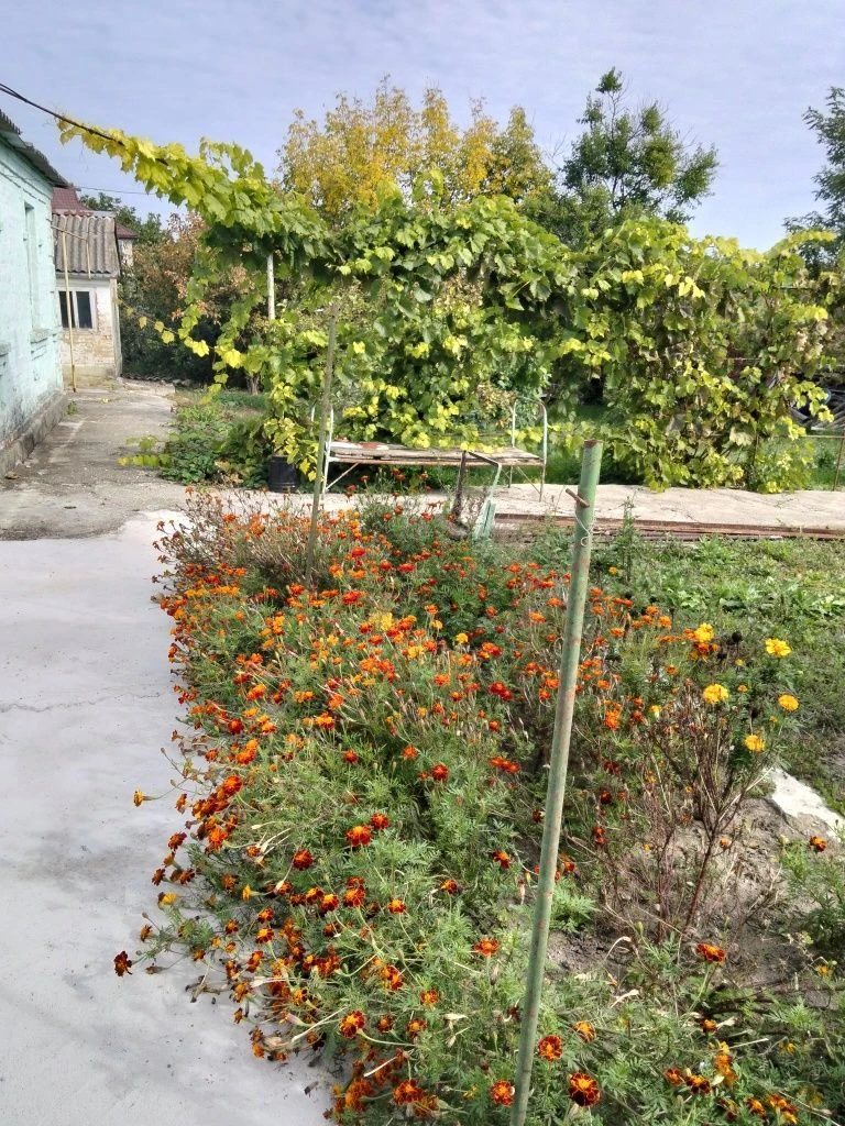 Продам будинок в м.Бобринець.