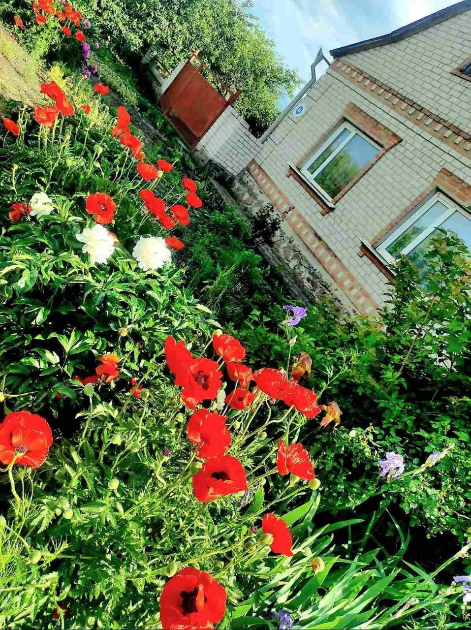 Продам добротний та міцний будинок в місті Бобринець.