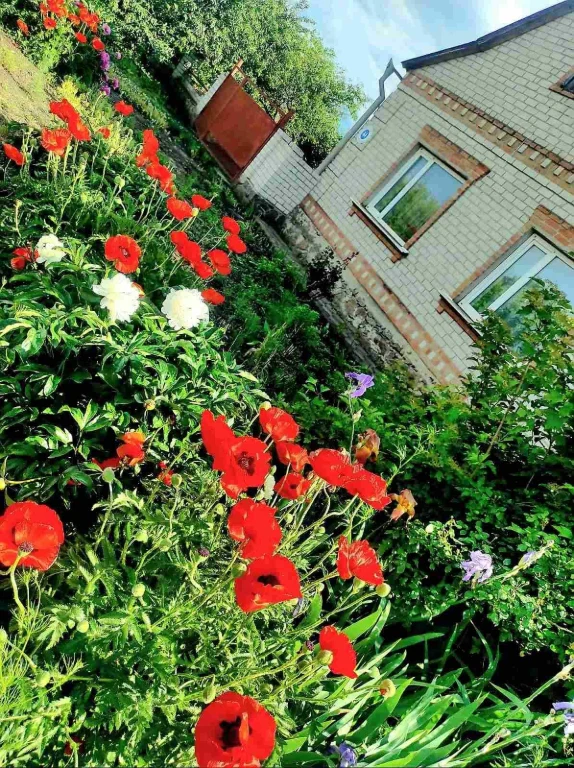 Продам добротний та міцний будинок в місті Бобринець.
