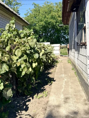 Продаж будинку на дві половини!