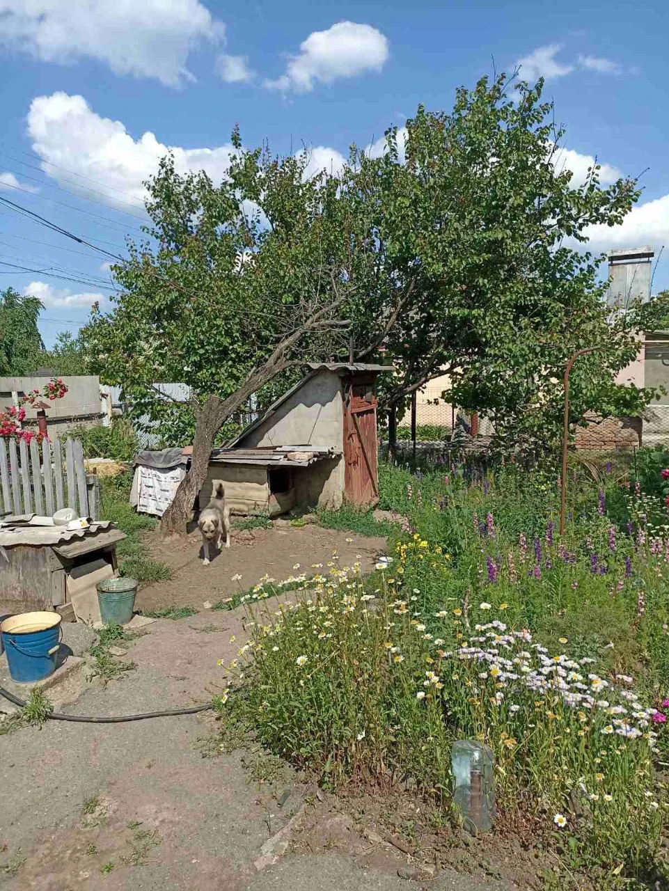 Продається дім з опаленням, центр
