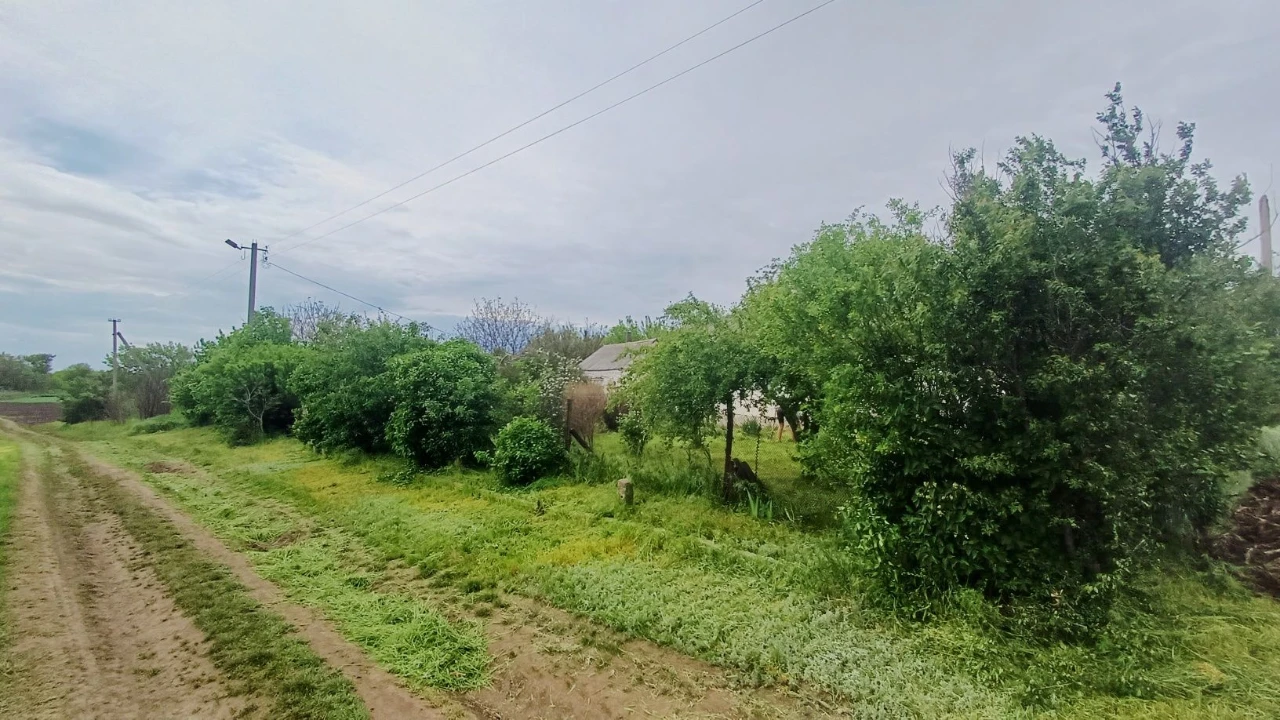 Продам будинок в селі і 1га землі біля нього