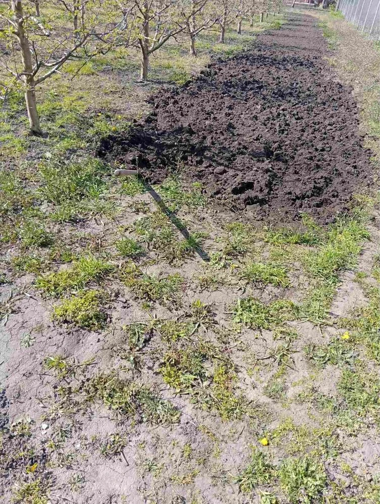 Продається будинок с.Войнівка