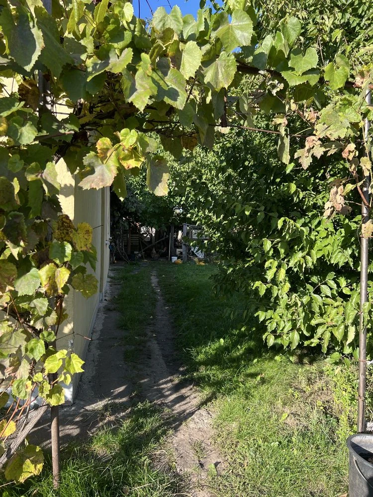 Продам доглянутий будинок з газом в с. Березівка (7 км від О