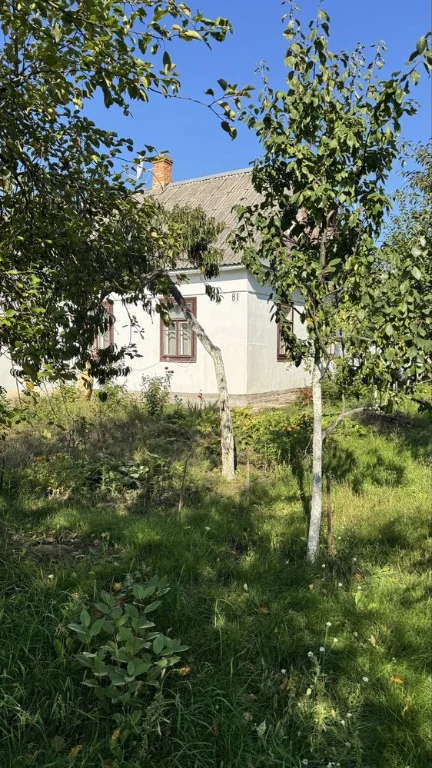 Продам будинок 91 м² у центрі с. Олександрія (15 км від Рівн