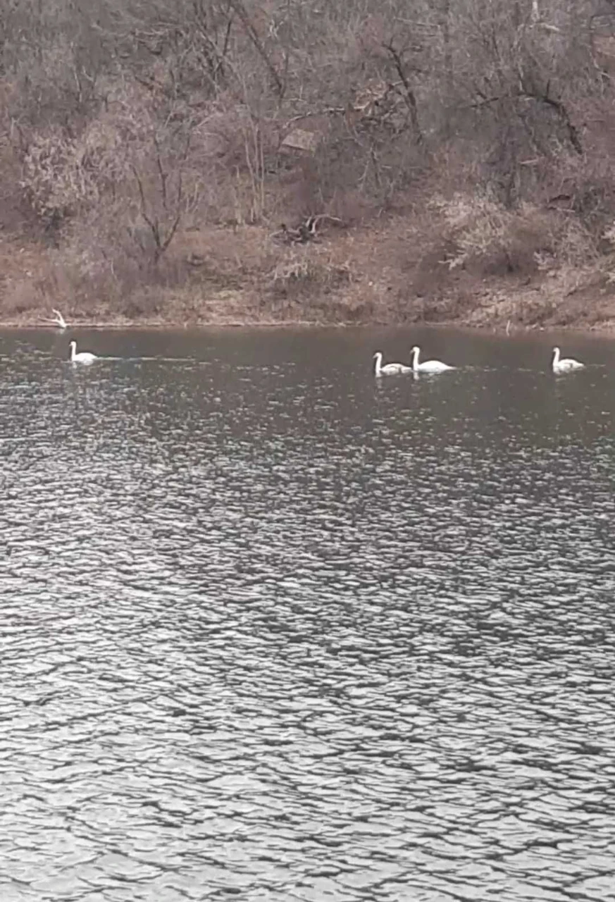 Дача біля води! Розріз,Кооператив "Ивушка"