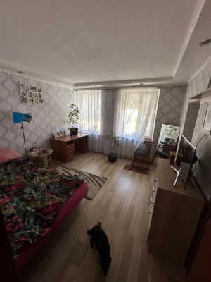 Продам будинок Центр з діючим кафе