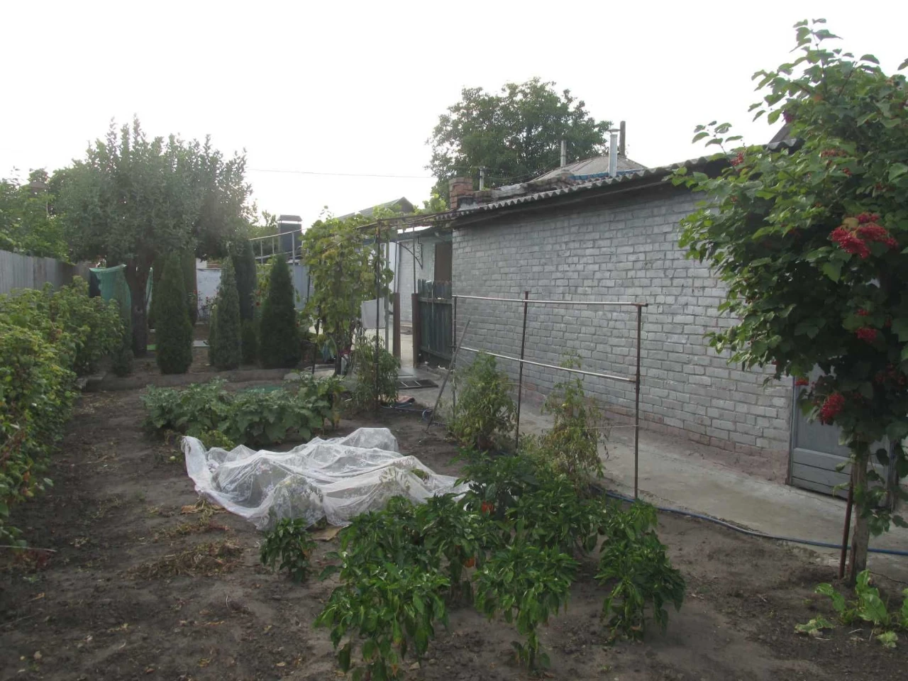 Продам  будинок по вул. В.Скринника (р-н пл.Покровської) або
