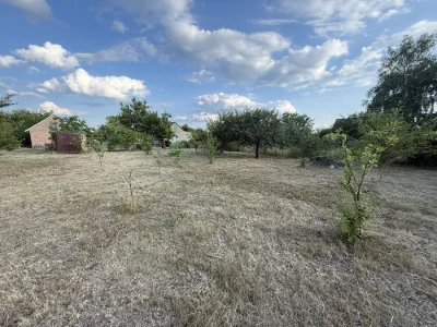 Продам дачу, кооператив «Надія», поряд з м. Олександрія