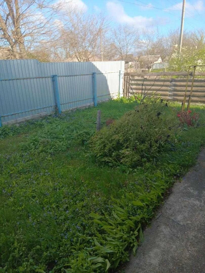 Продаж будинків, нерухомість, житло.
