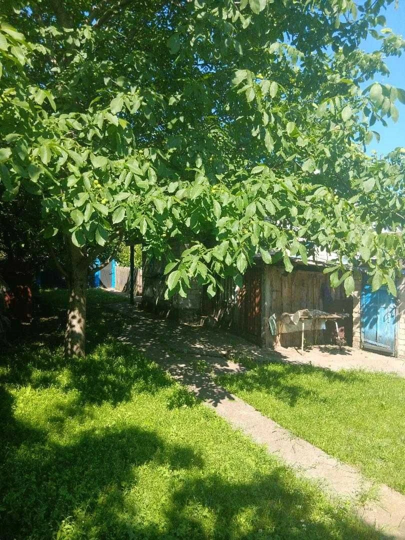 Продаж будинків, нерухомість, житло.