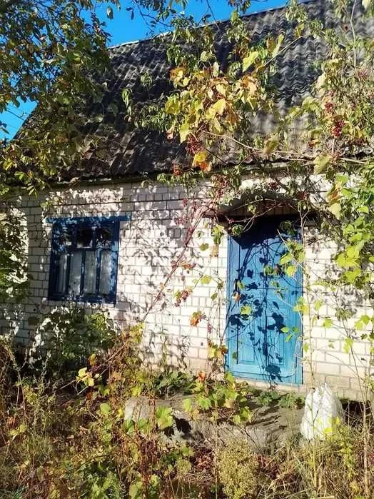 ДАЧА в садовом обществе РАССВЕТ-2(СВІТАНОК-2)