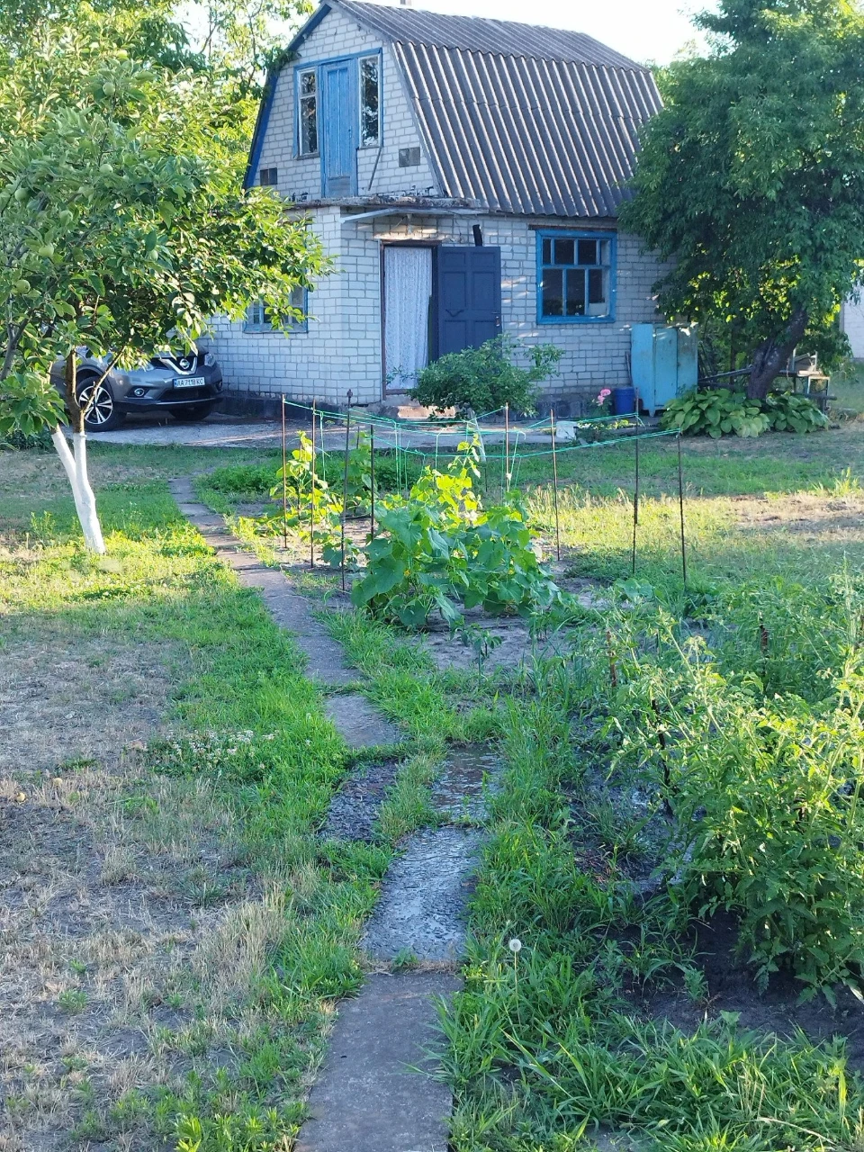 Продається дача, Сади 4