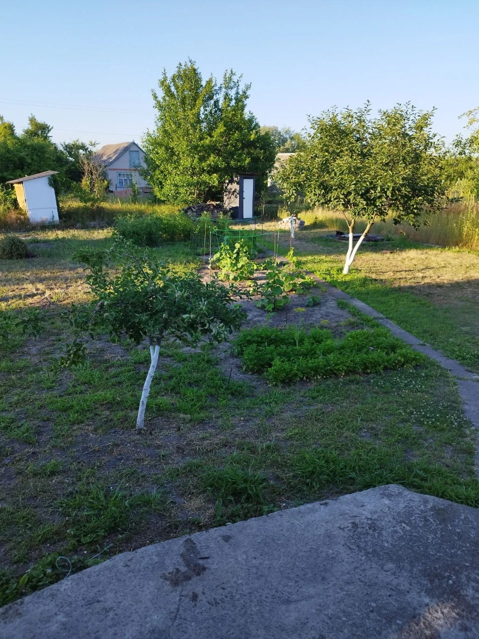 Продається дача, Сади 4
