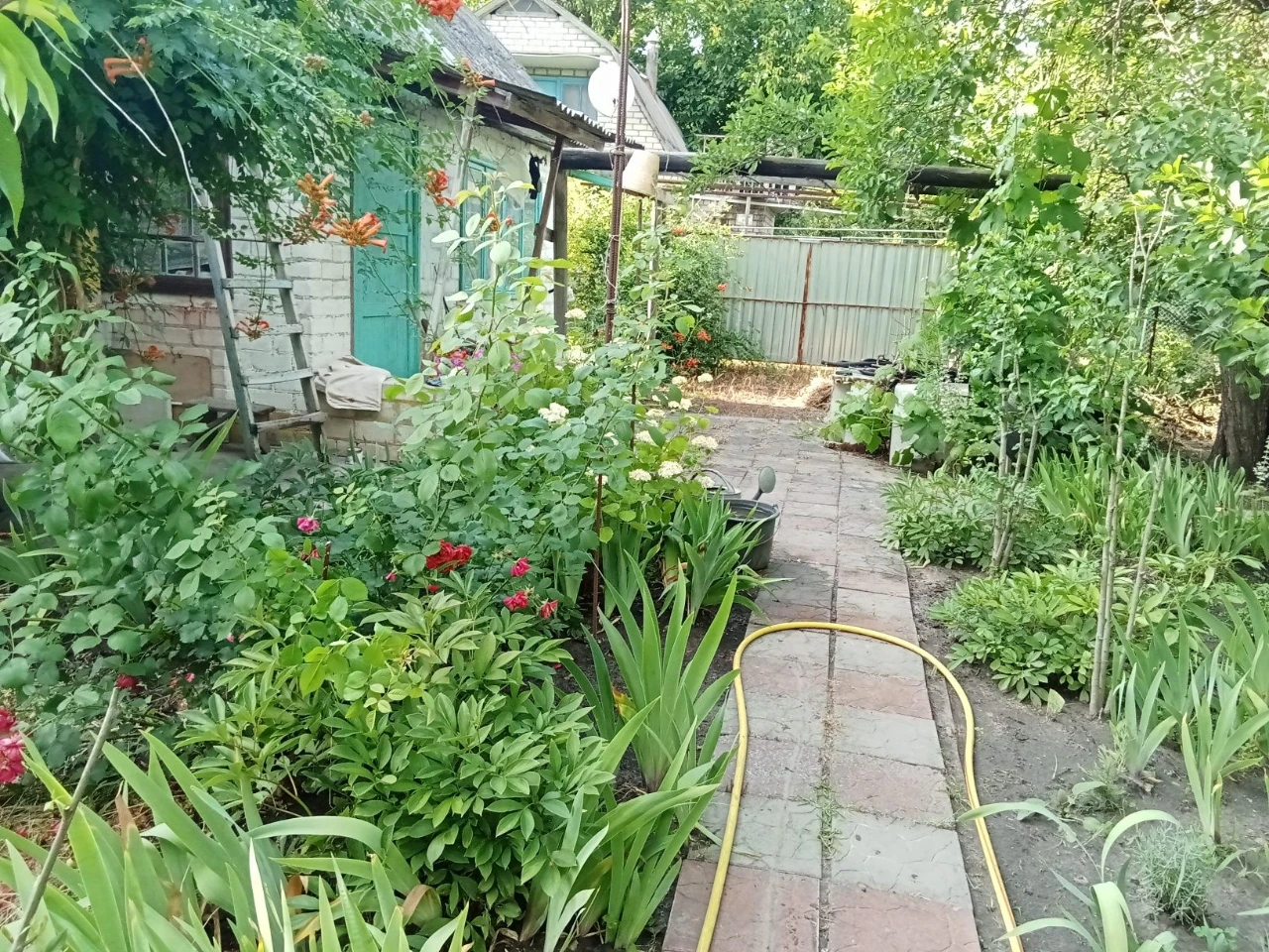 Терміново продаю дачу СТ''Мічурінець'', 6 соток,садок ,город