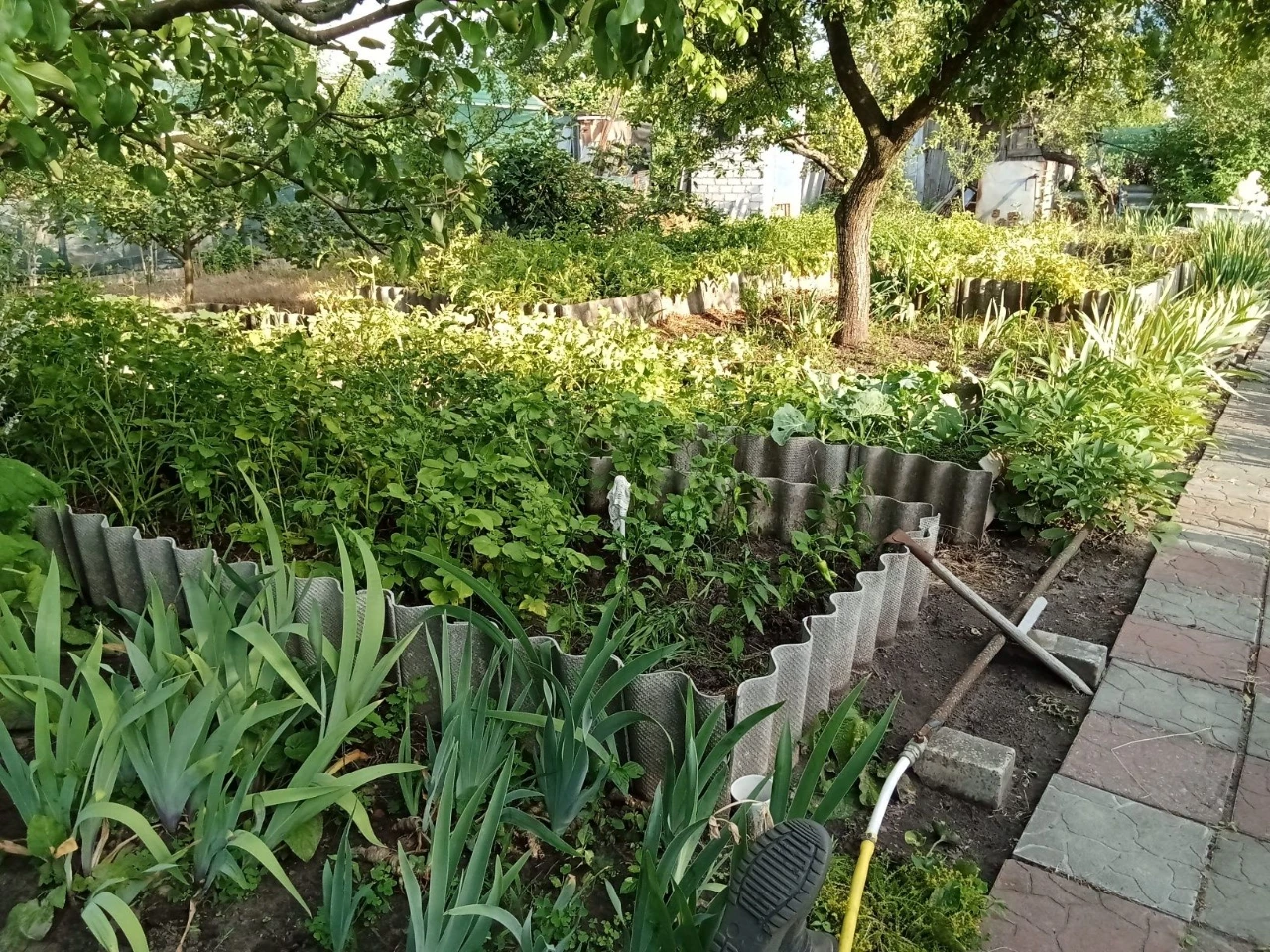 Терміново продаю дачу СТ''Мічурінець'', 6 соток,садок ,город