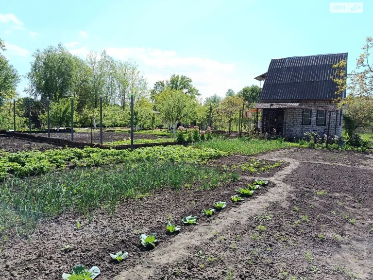 Продаж Дім