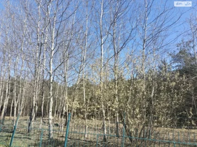 Продаж Дім