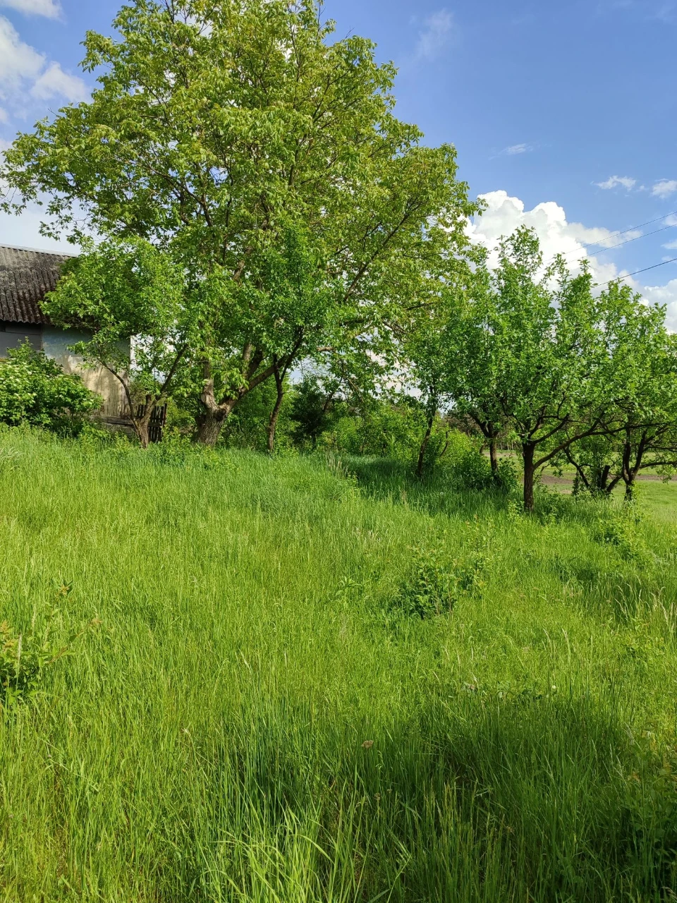 Продам будинок зі земельною ділянкою