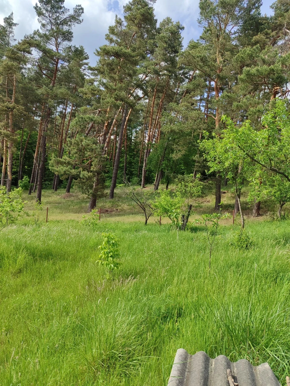 Продам будинок зі земельною ділянкою