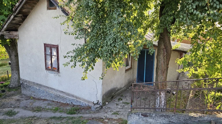 Житловий будинок, земельна ділянка