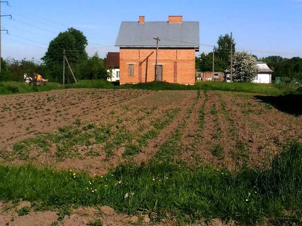Будинок. Городок, Заставна