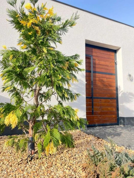 Sauvignon -2! Renovated house in high-tech style on 5 acres! 1L5