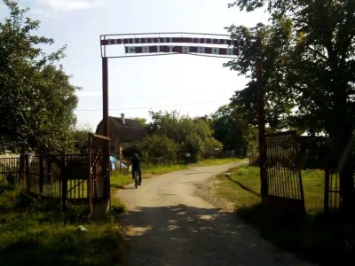 Будинок. Дрогобич, Вишнева