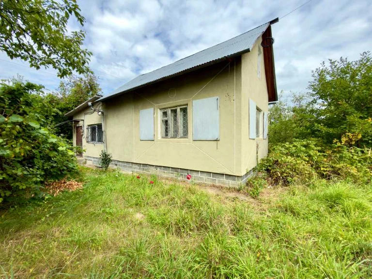 Будинок. Дрогобич, лісна