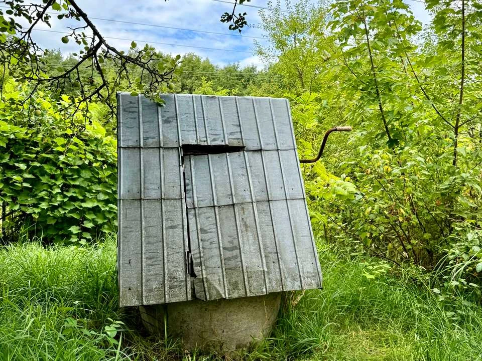 Будинок. Дрогобич, лісна