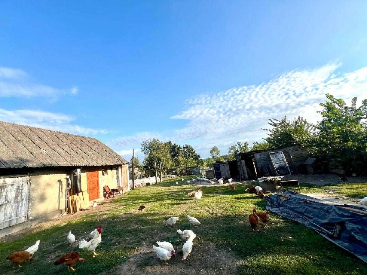 Продаж житловий будинок с.Пили Жовківський р-н Львівська обл