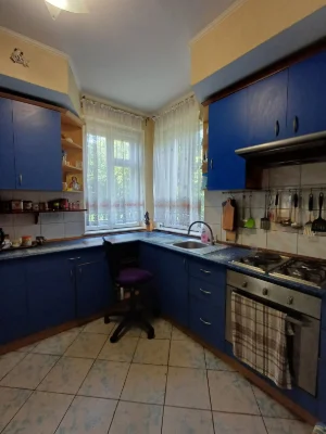 99 тис дол Продаж будинку 300 м кв + 10 соток м. Жовква