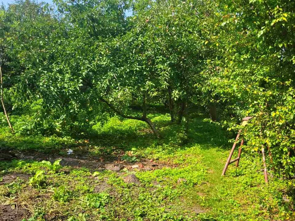 Будинок. Кам'янка-Бузька, Львівська вул.