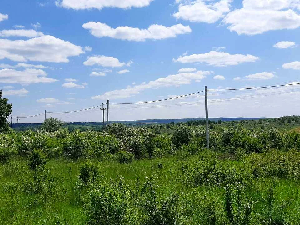 Будинок. Пустомити, Мирна