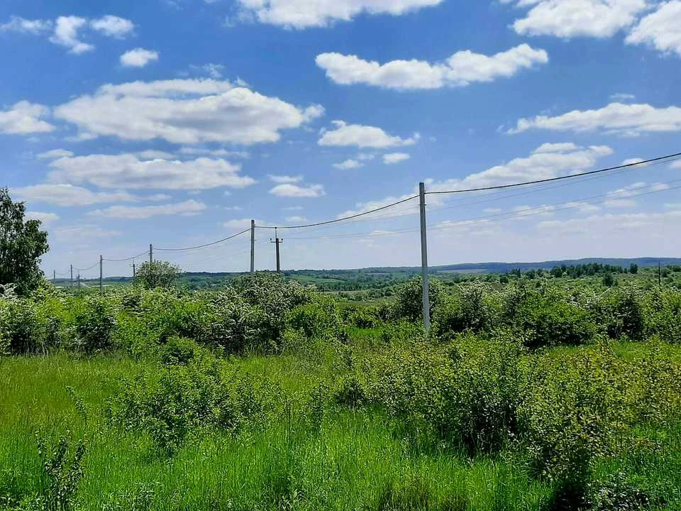 Будинок. Пустомити, Мирна