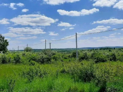 Будинок. Пустомити, Мирна