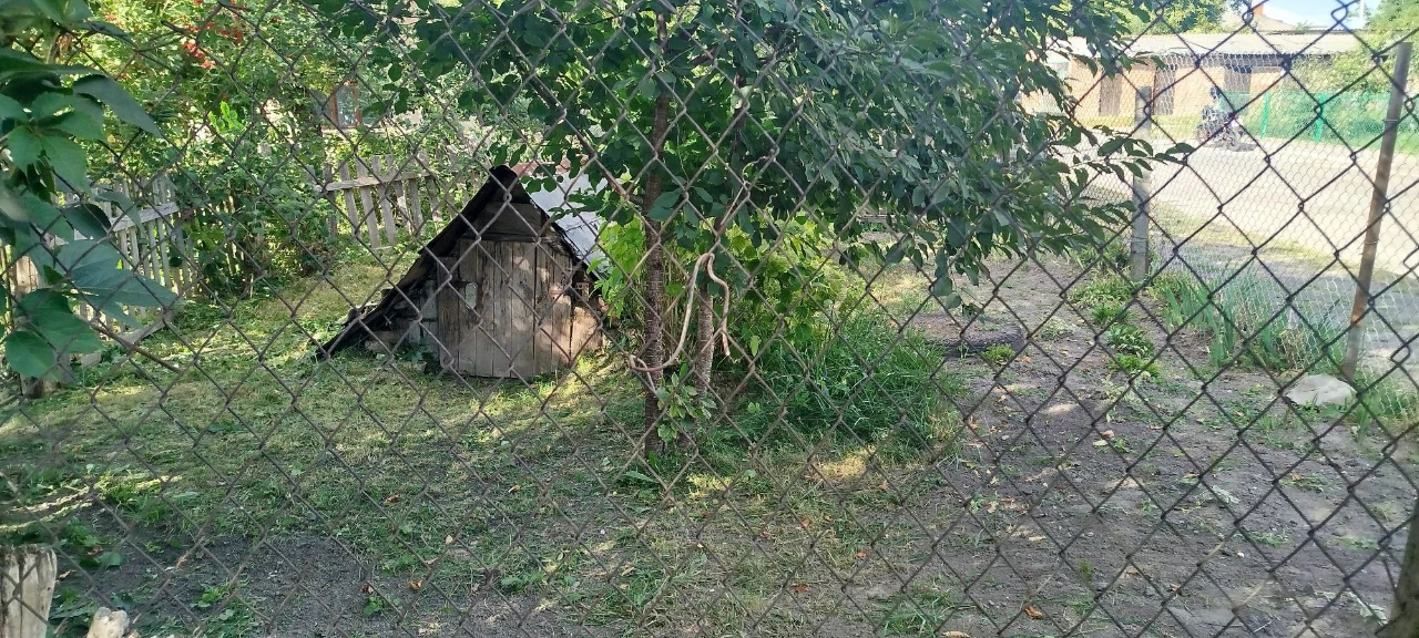 ПРОДАЖ ВІД ВЛАСНИКА.Продам дачу у центральній частині Радехо