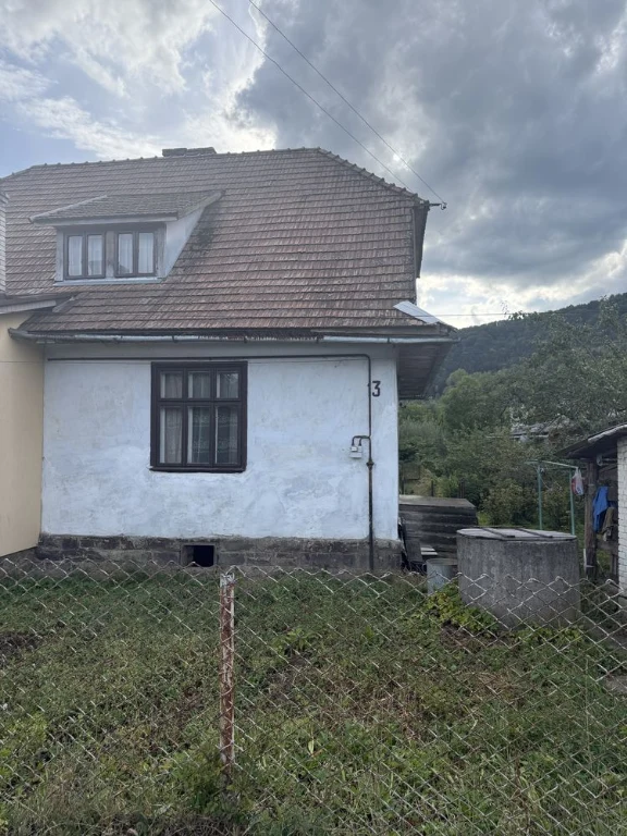 Продам будинок з гаражем, Львівська область, Стрийський райо