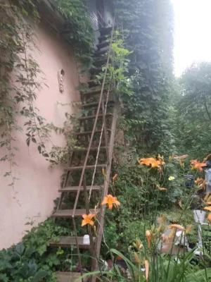 Продаж Дім