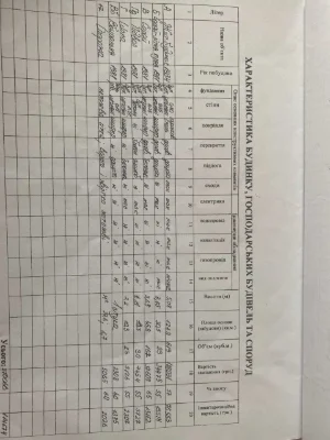 Просторий будинок з гаражем та господарськими будівлями у м.