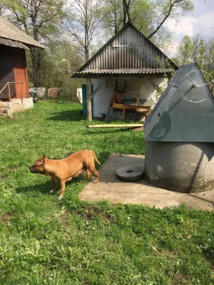 Продам Будинок Старий Самбір