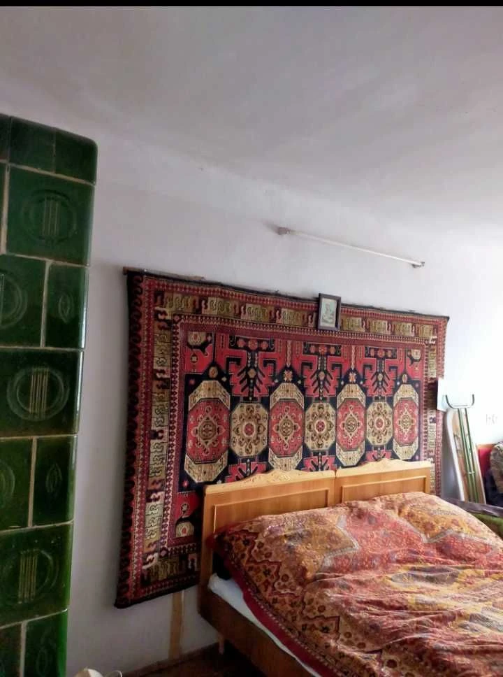 Будинок та земельна ділянка в м. Стрий
