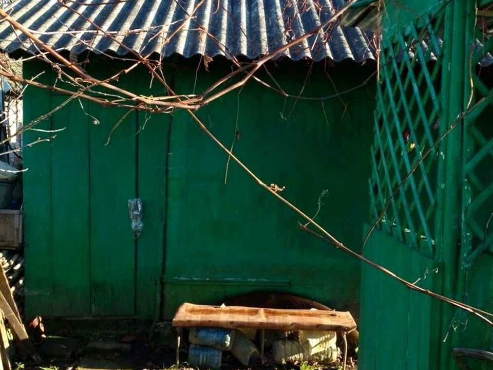 Будинок. Трускавець, Вишнева