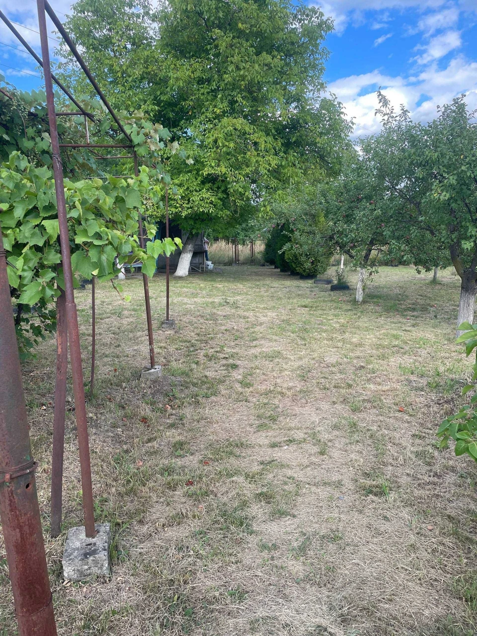 продам дачу в  СК полонина 8 сотих. Ціна за сотку!