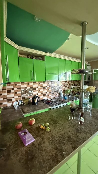 Будинок з ремонтом у Турка | 275 м² | 30 соток | заходь і жи