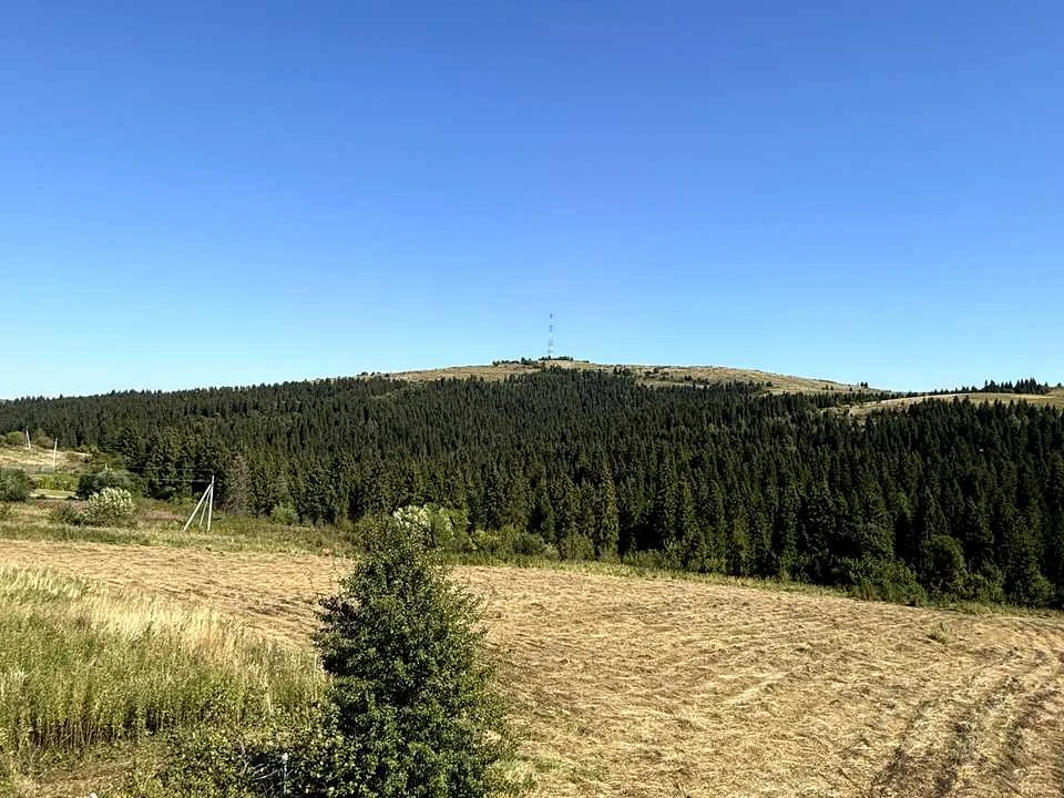 Будинок. Турка, Травнева вул.