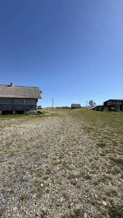 Діюча пилорама + ангар 450 м² + 92 сотки землі | Готовий біз