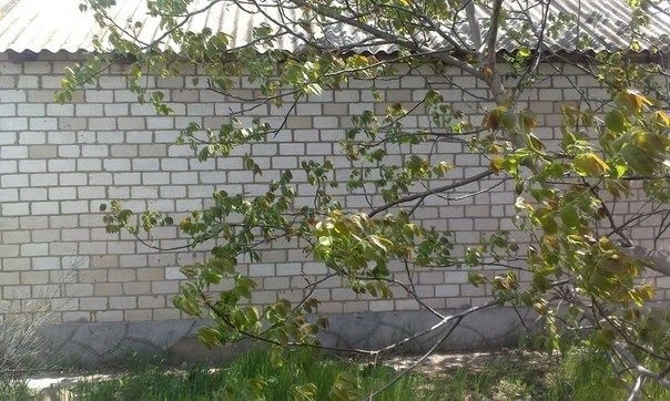 Продаж будинку у Вознесенську
