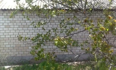 Продаж будинку у Вознесенську